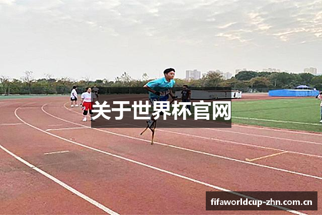 关于世界杯官网